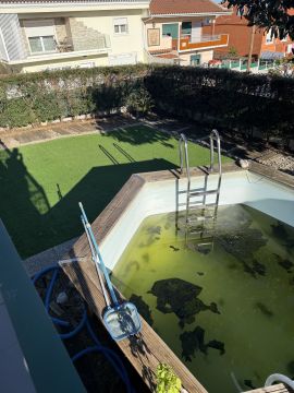 Paisagismo