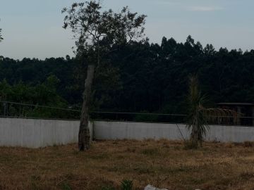 Jardinagem