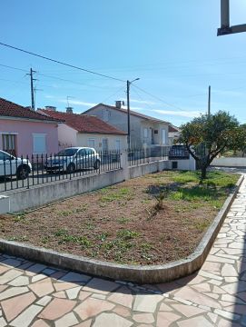 Artificial Turf Specialist