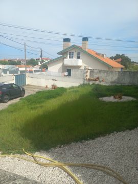 Lawncare