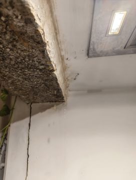 Empresa de Remodelações