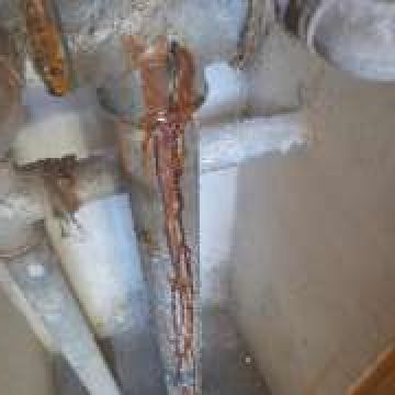 jorge rodrigues - Loures - Plumbing
