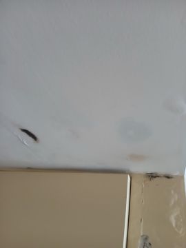 Instalación de pladur y cortinajes