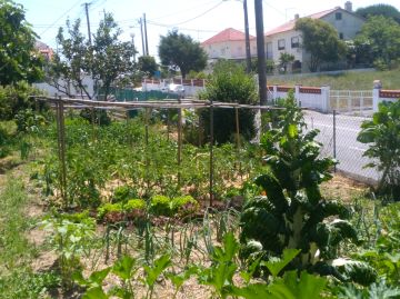 Jardinagem