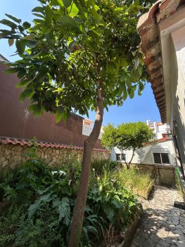 Gardening - Lawncare