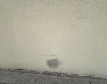 Pintor de Casas