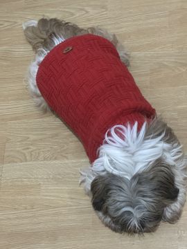 Hotel para Cães