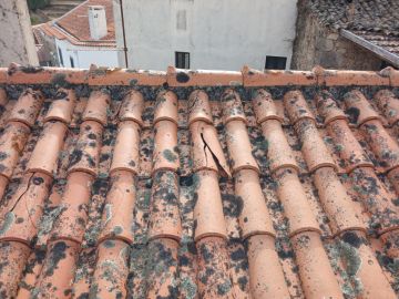 Técnico de Telhados e Coberturas