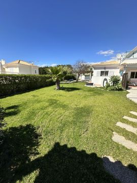 Lawn Mowing and Trimming