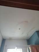 Drop Ceiling professional