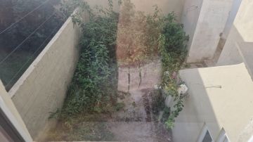Serviço de Jardinagem