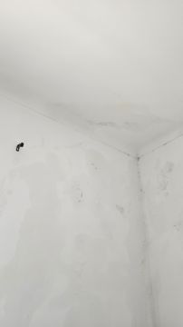 Exterior Painter
