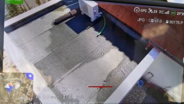 Especialista de Reparação de Terraços