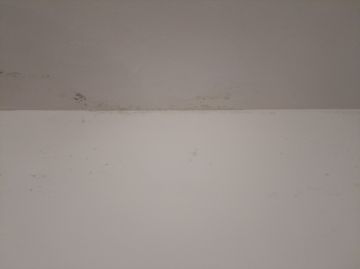 Pintura de Casas - Pintura