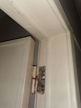 Carpenter