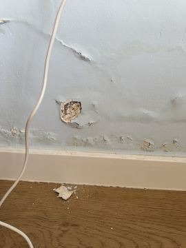Pintura de Interiores