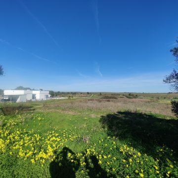 Limpeza de Terrenos