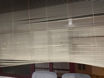 Window Blinds