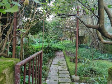 Serviço de Jardinagem