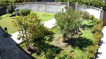 Jardinagem