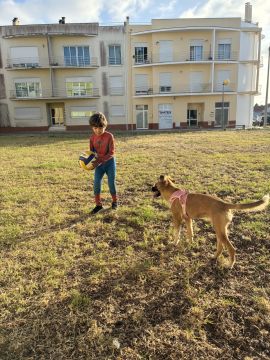 Hotel para Cães