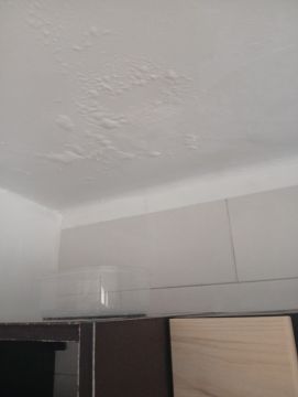 Pintura de Interiores