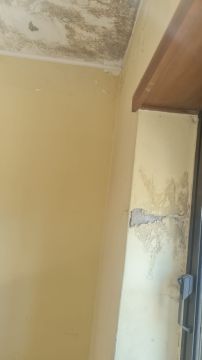Painters