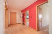 Interior Painter