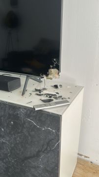 Reparador de TV