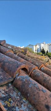 Limpeza de Telhado