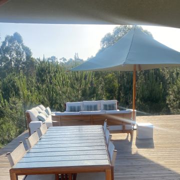ELIENE 🤩 - Sesimbra - Limpeza de Tapete