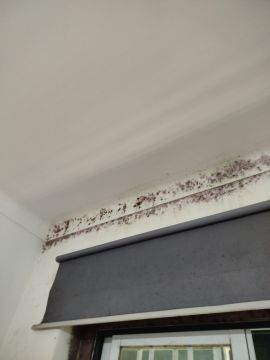 Pintor de Casas