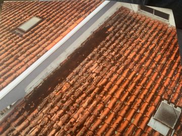 Reparação ou Manutenção de Telhado