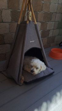 Hundepension