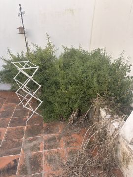 Gardening - Lawncare