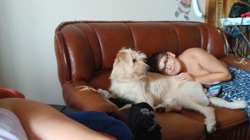 Hotel para Cães
