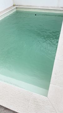 Especialista de Limpeza de Piscinas