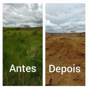 Pinguim amarelo lda. - Vila Nova de Famalicão - Poda e Manutenção de Árvores