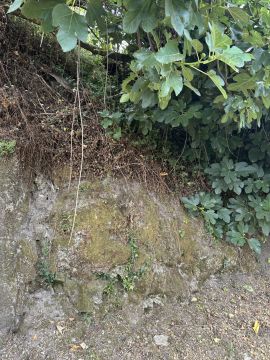 An- und Umbauten