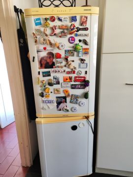 Refrigerator Repairman