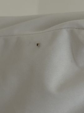 Exterminador de Percevejos - Casa