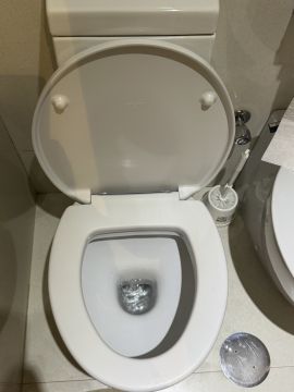 Toilettenreparatur