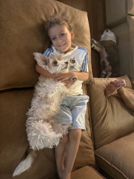 Hotel para Cães - Hotel e Creche para Animais