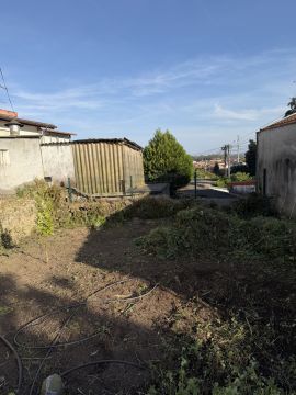 Serviço de Jardinagem