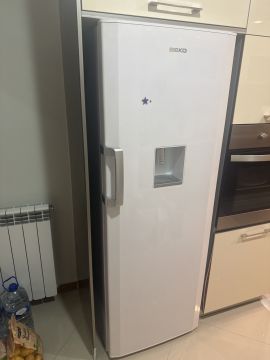 Refrigerator Repairman