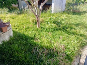 Servicio de Jardinero