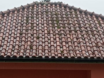 Roof Installation or Replacement