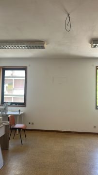 Pintura