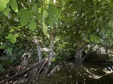 Gartenarbeiten