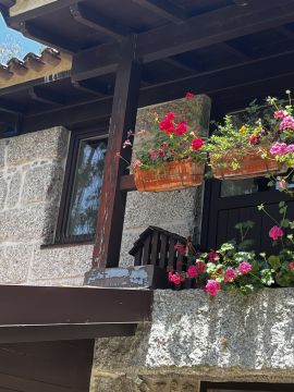 Exterior Painter